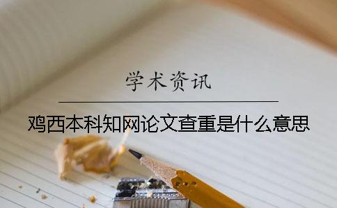 鸡西本科知网论文查重是什么意思