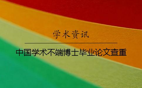 中国学术不端博士毕业论文查重