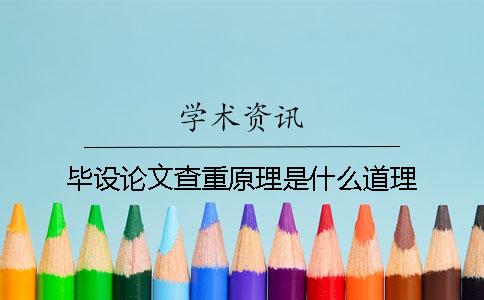 毕设论文查重原理是什么道理