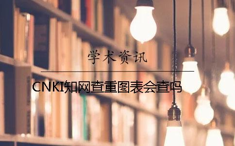CNKI学术查重图表会查吗