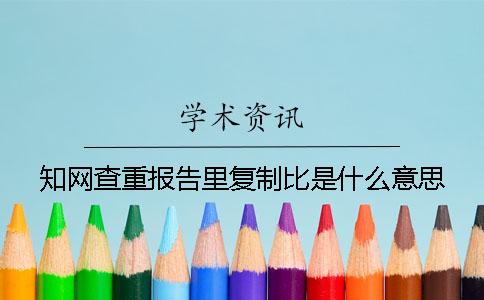 学术查重报告里复制比是什么意思