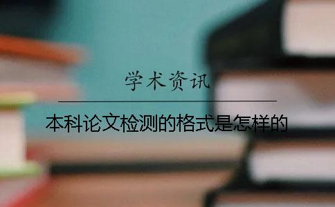 本科论文检测的格式是怎样的？
