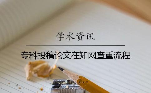 专科投稿论文在学术查重流程